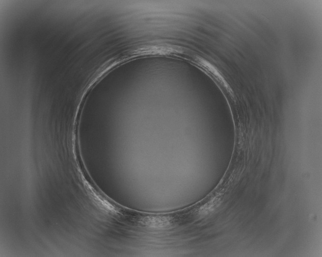 X0000076300802200610061302
