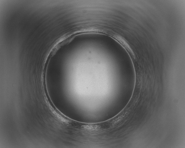 X0000076300805200610061302