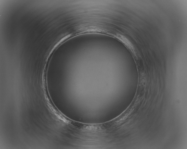 X0000076300806200610061302