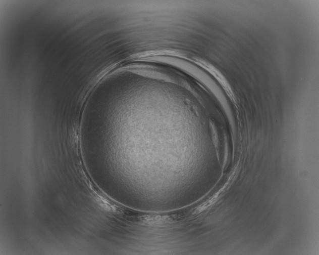 X0000076300809200610061302