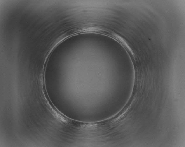 X0000076300810200610061302