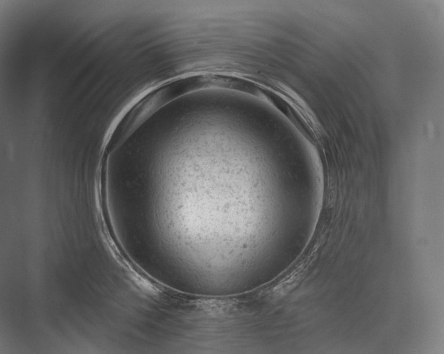 X0000076300812200610061302