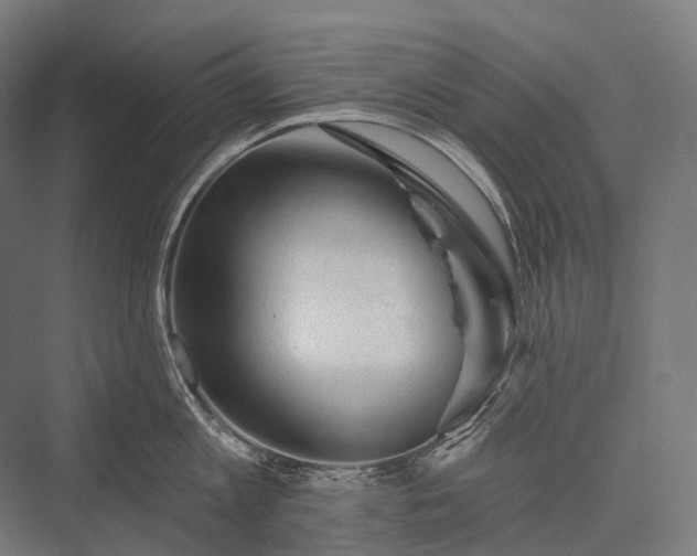 X0000076300813200610061302