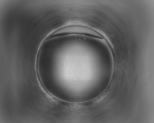 X0000076300815200610061302