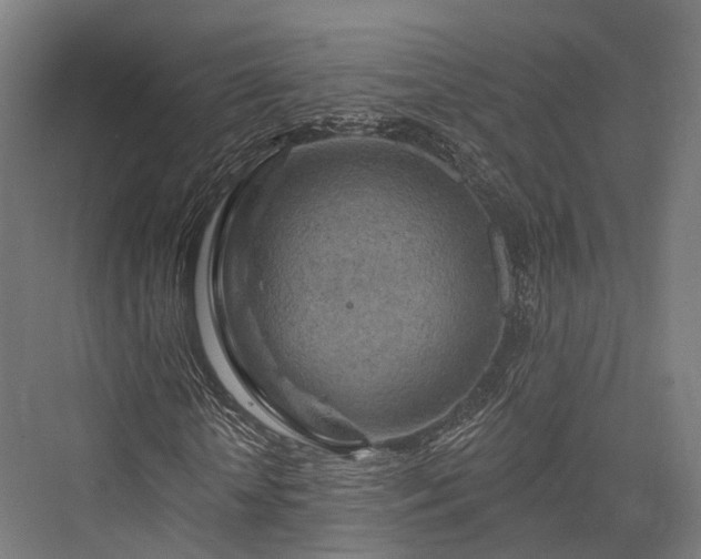 X0000076300818200610061301