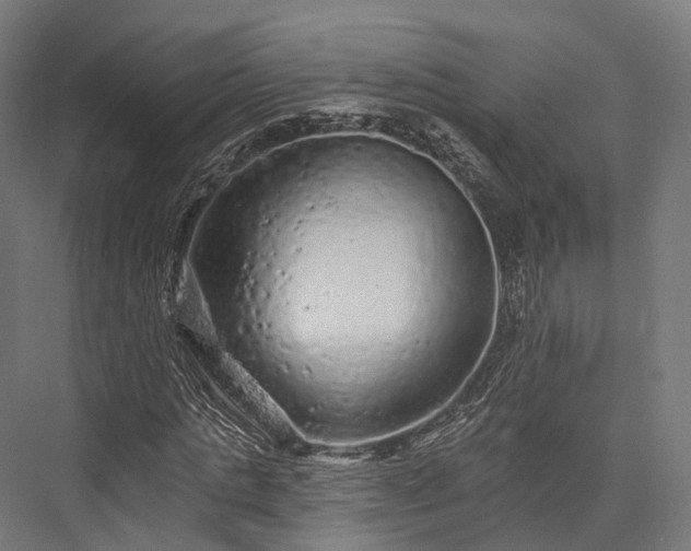 X0000076300821200610061301