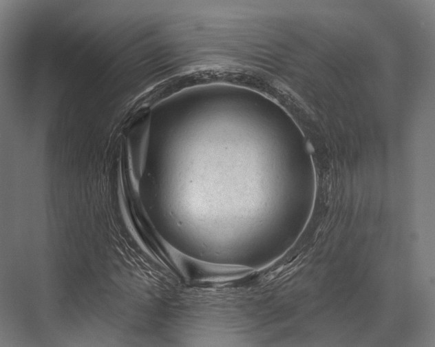 X0000076300822200610061301