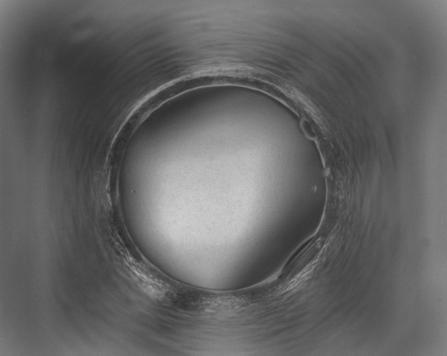 X0000076300830200610061302