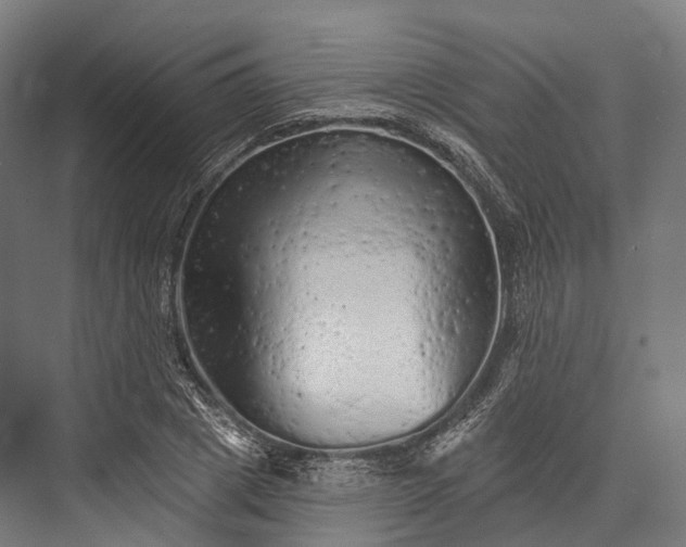 X0000076300833200610061302