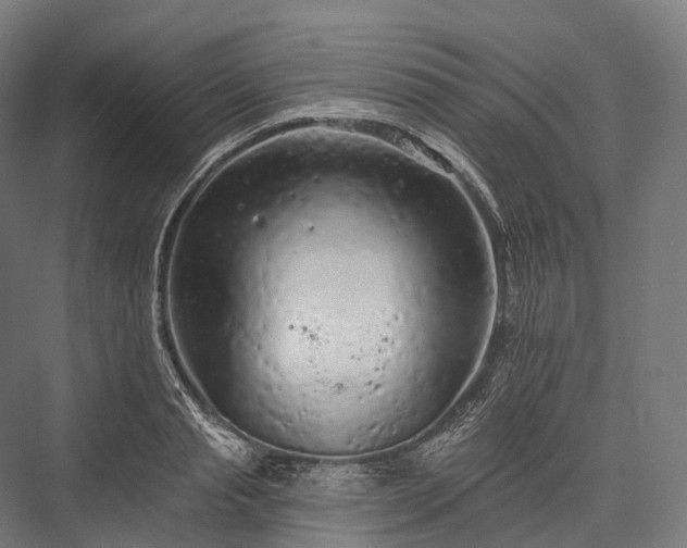X0000076300845200610061302