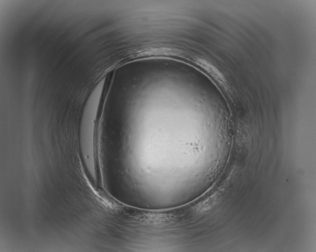 X0000076300849200610061302