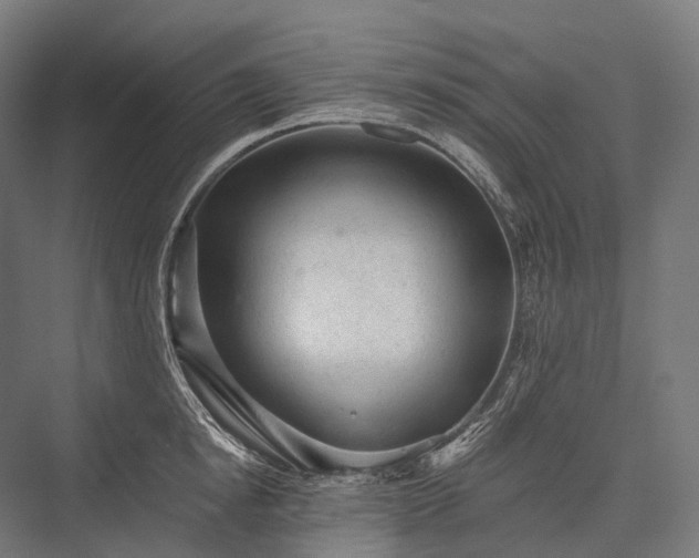 X0000076300854200610061302