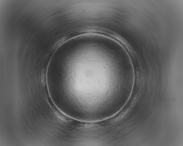 X0000076300857200610061302