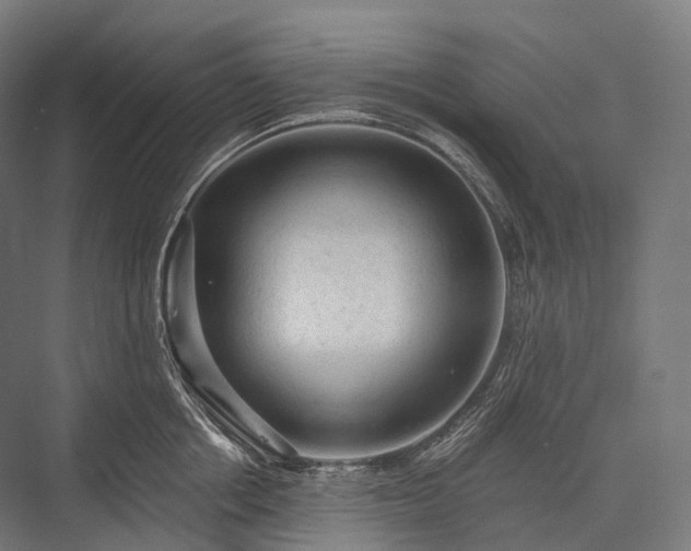 X0000076300858200610061302