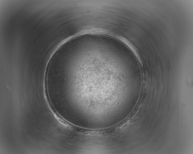 X0000076300861200610061302