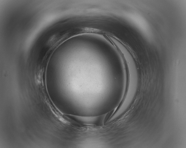 X0000076300862200610061302