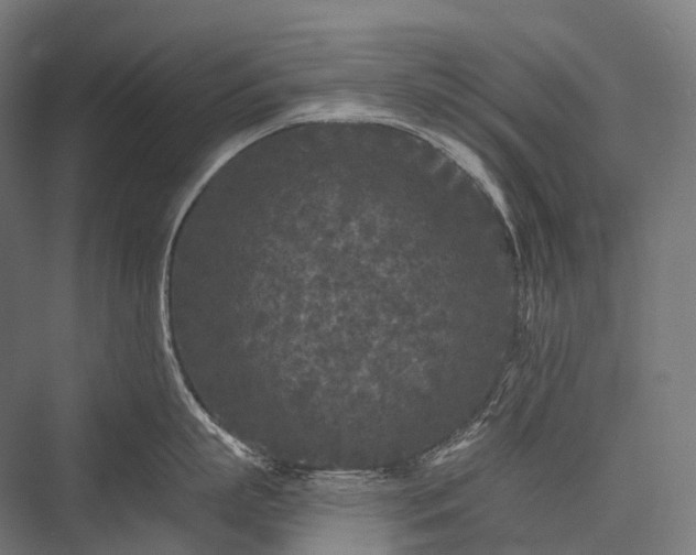 X0000076300863200610061302