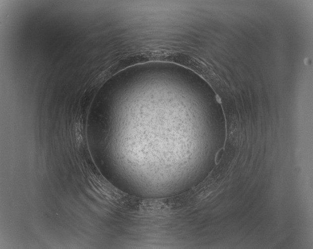 X0000076300866200610061301