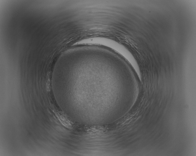X0000076300868200610061301