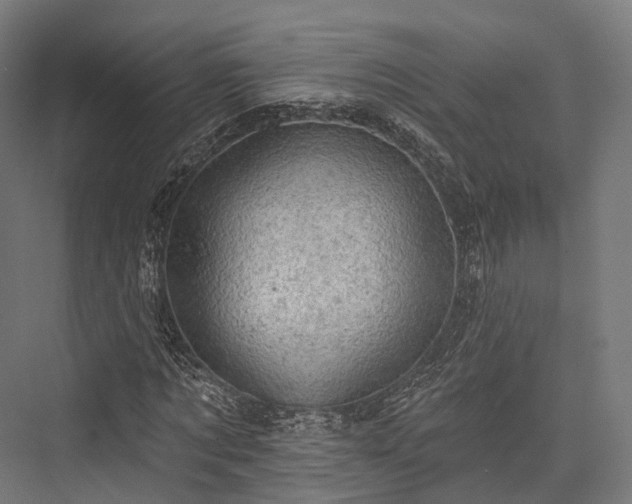 X0000076300869200610061301