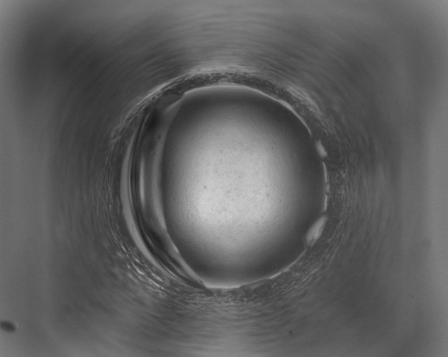 X0000076300872200610061301