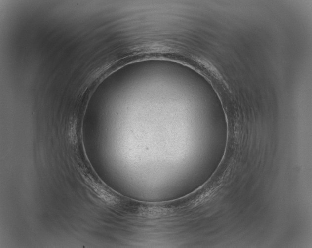 X0000076300873200610061301