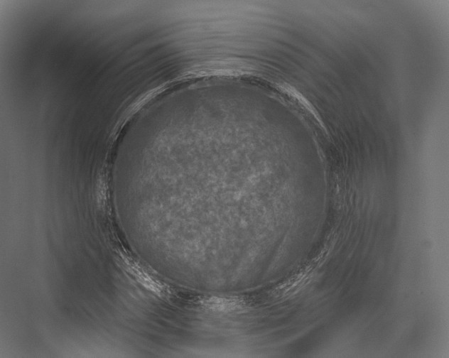 X0000076300874200610061301