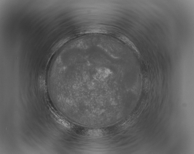 X0000076300882200610061301