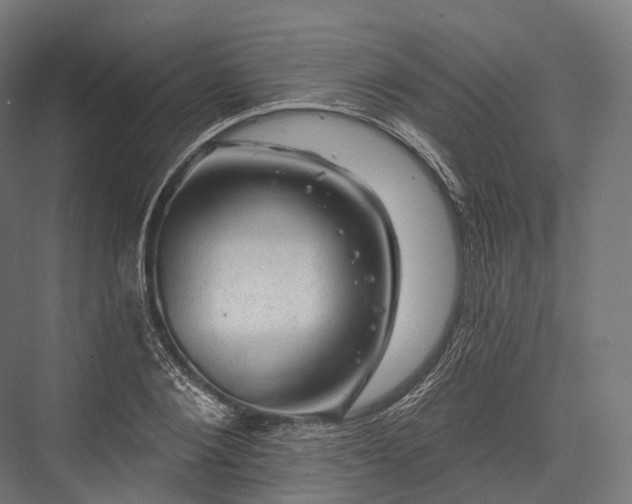 X0000076300884200610061301