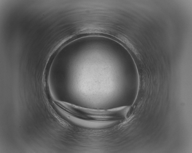 X0000076300885200610061301