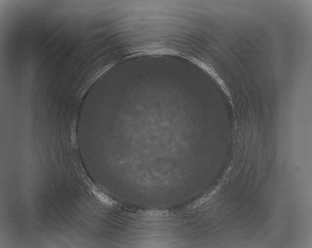 X0000076300889200610061301