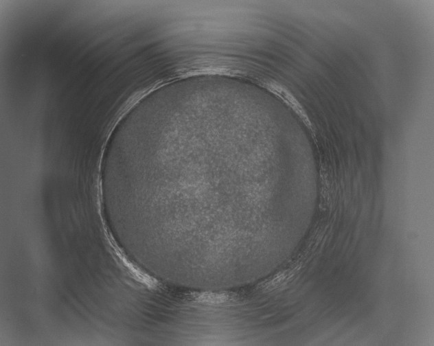 X0000076300890200610061301