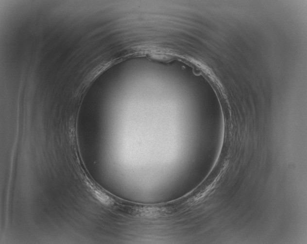 X0000076300897200610061301