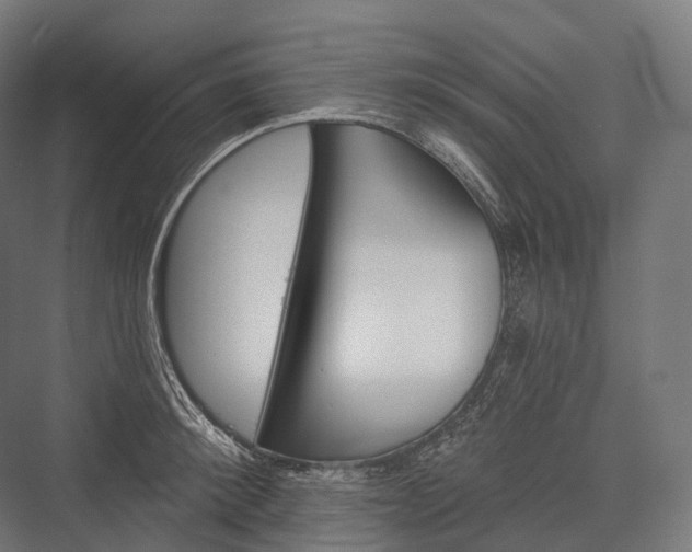 X0000076300900200610061301