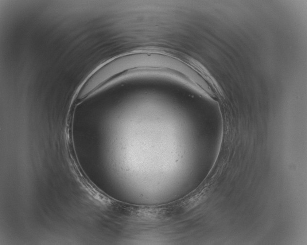 X0000076300908200610061301