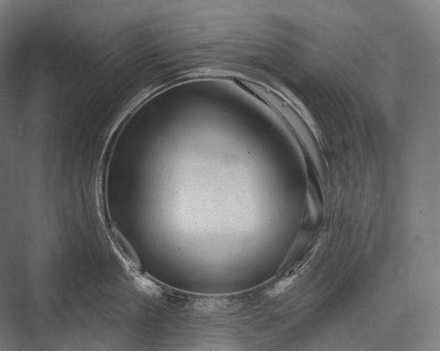 X0000076300909200610061301