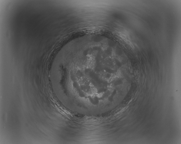 X0000076300913200610061300