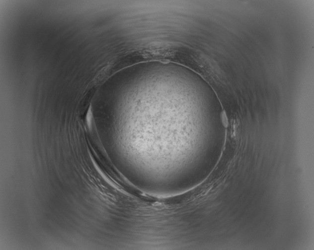 X0000076300915200610061300