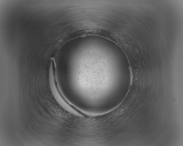 X0000076300916200610061300