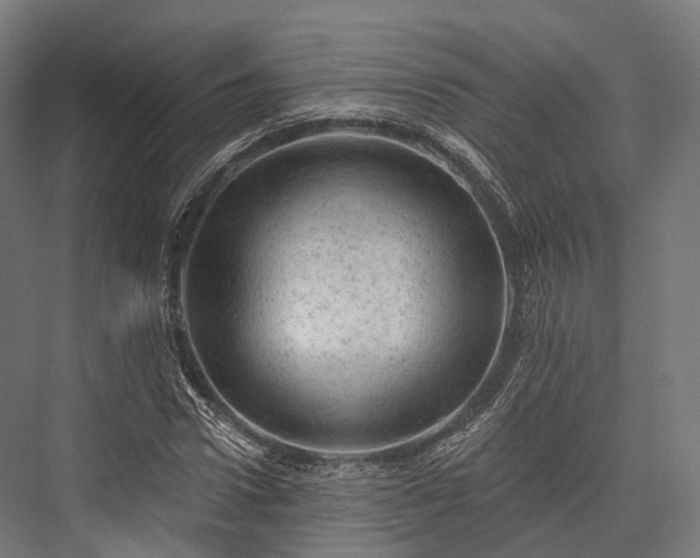 X0000076300922200610061300