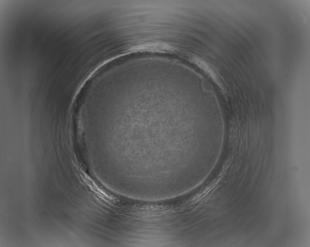 X0000076300923200610061300