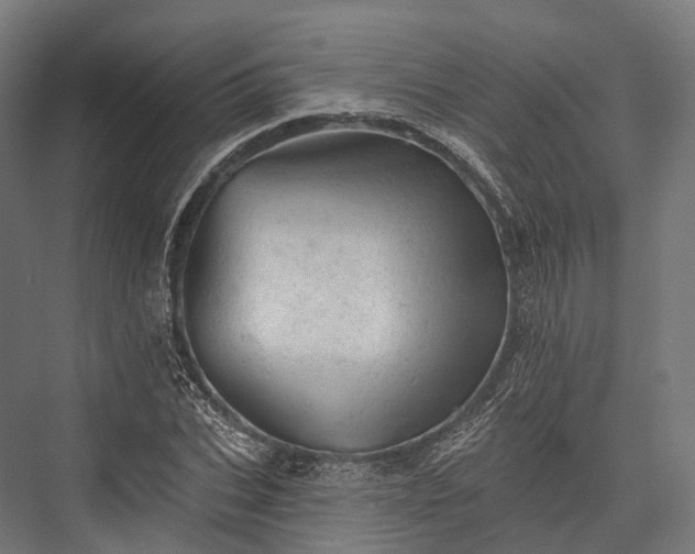 X0000076300927200610061300