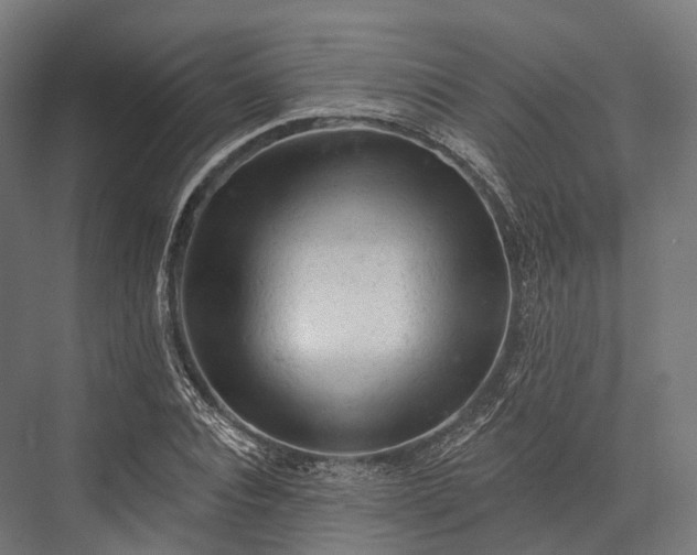 X0000076300928200610061300