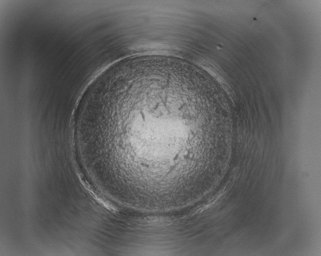 X0000076300933200610061300