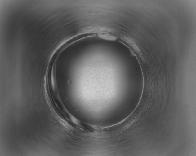 X0000076300936200610061300