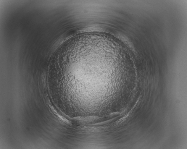 X0000076300937200610061300