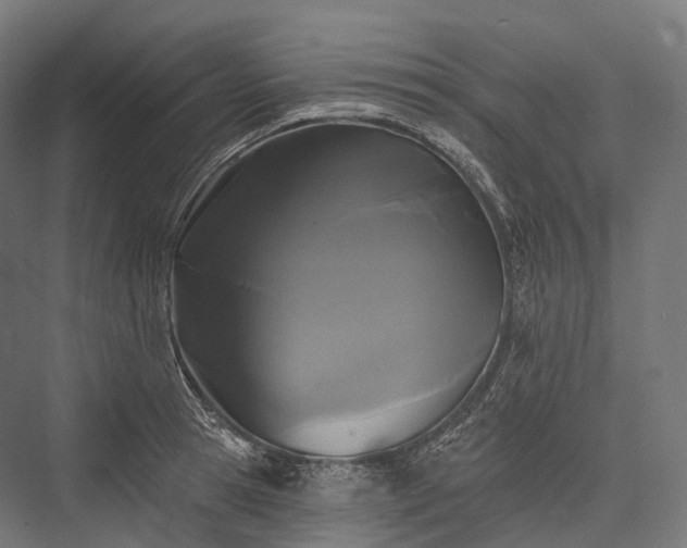 X0000076300945200610061300