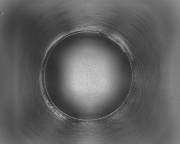X0000076300952200610061300