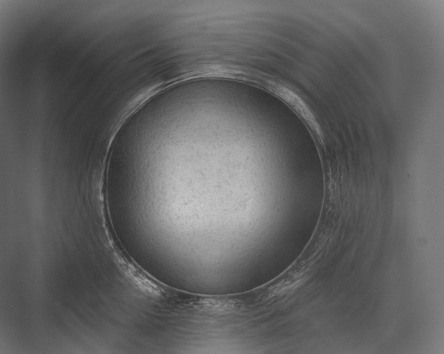 X0000076300954200610061300