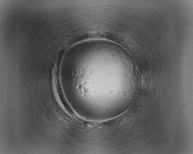 X0000076300963200610061300